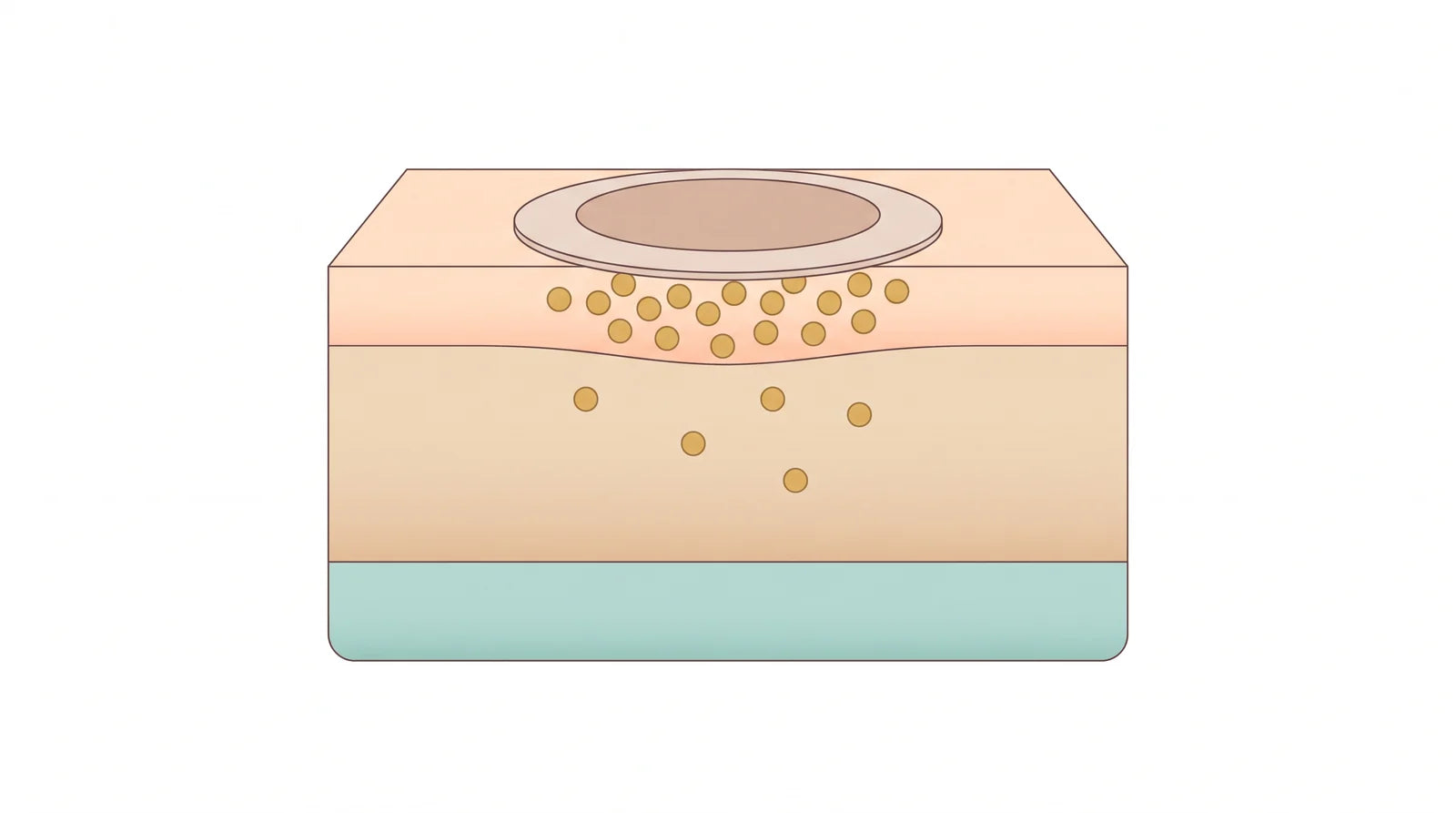 Conceptual illustration, not measured data: a round patch on a cross-section of skin, with small particles gathered at the surface and in the outer layer and only a few deeper