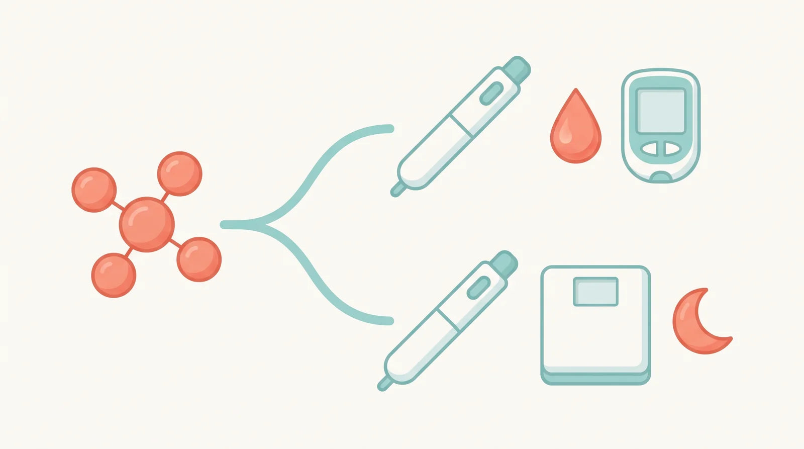 Illustration of one tirzepatide molecule branching into two identical pens, one beside a blood drop and glucose meter, the other beside a scale and crescent moon